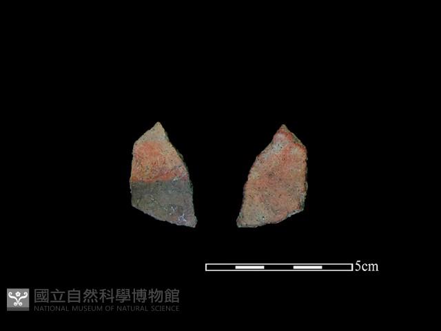 陶片藏品圖，第1張