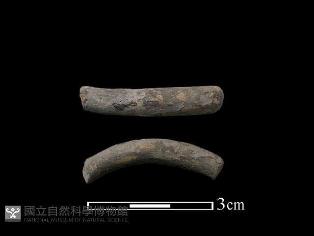 陶環藏品圖，第1張