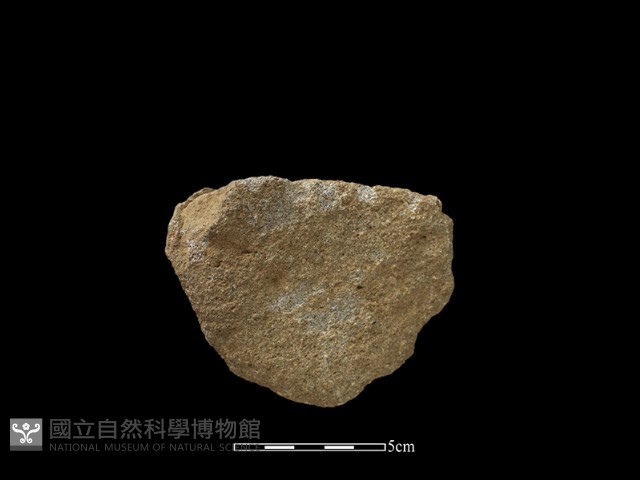 斧鋤形器藏品圖，第2張