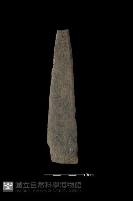 矛鏃形器藏品圖，第1張