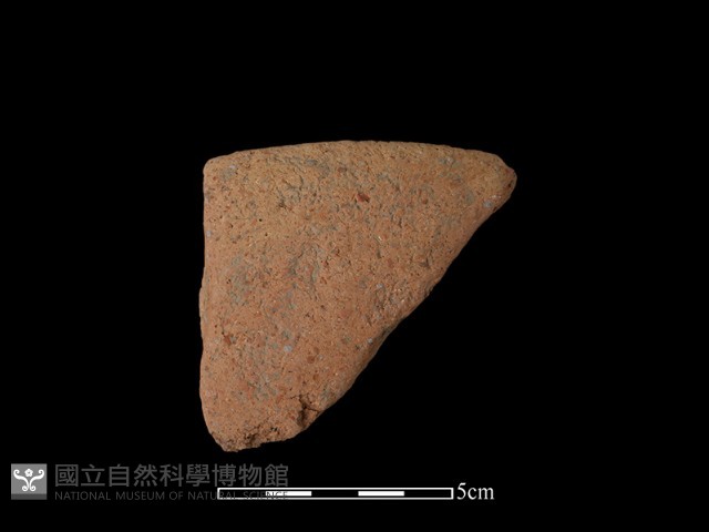陶片藏品圖，第2張