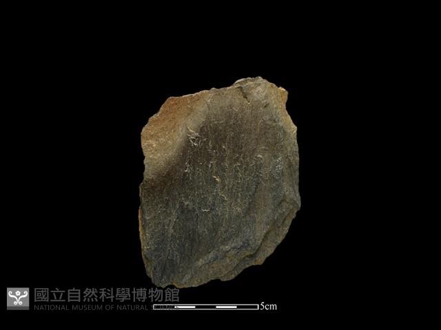 斧鋤形器藏品圖，第2張