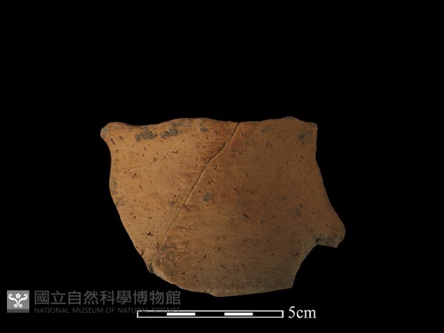 陶片藏品圖，第2張