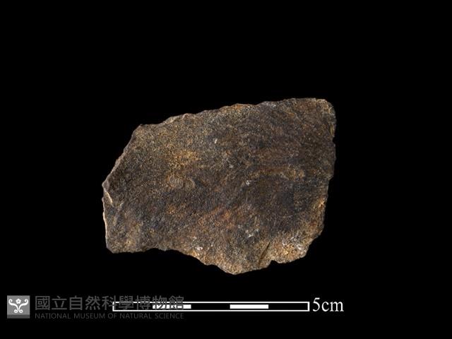 石片器藏品圖，第2張