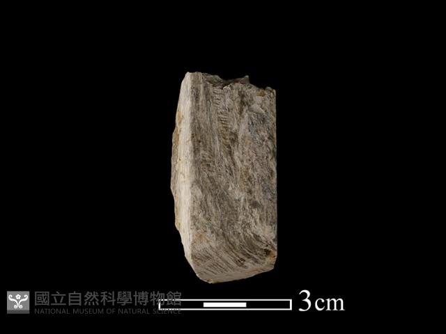 錛鑿形器藏品圖，第2張