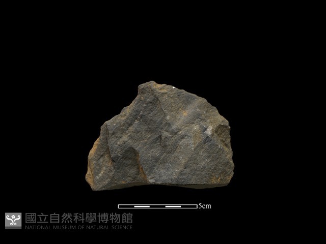 斧鋤形器藏品圖，第2張