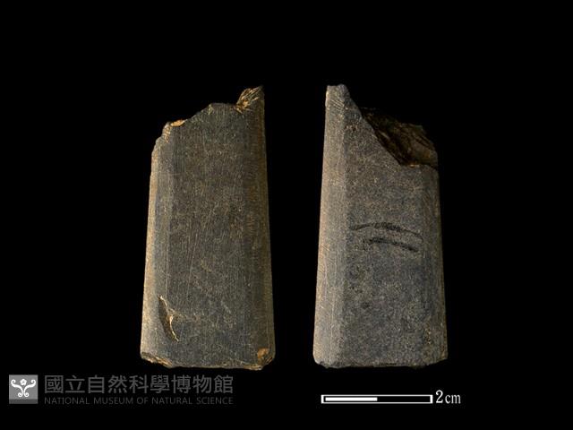 矛鏃形器藏品圖，第1張