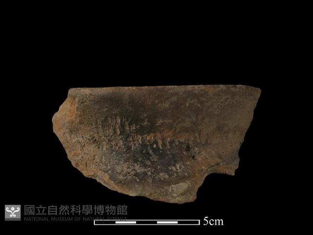 陶罐藏品圖，第1張