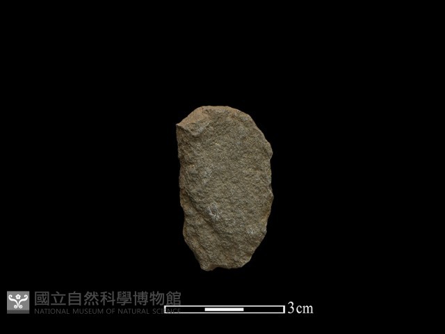 石片藏品圖，第1張