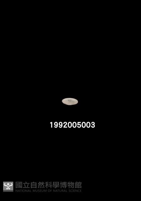 滑石茶具組--盤藏品圖，第1張