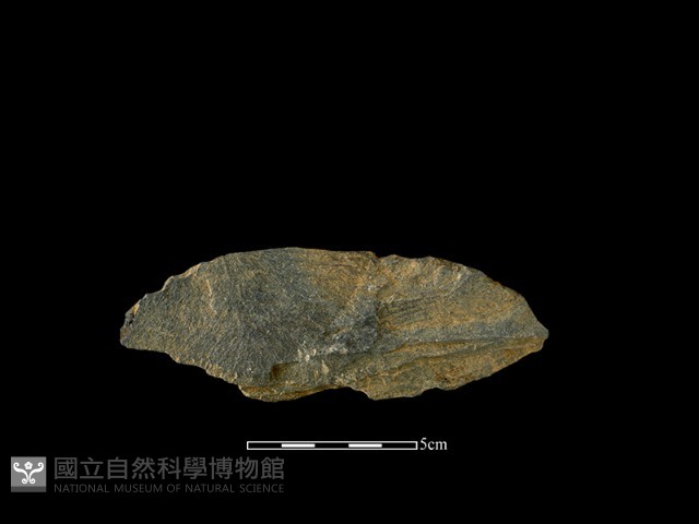 石片器藏品圖，第1張