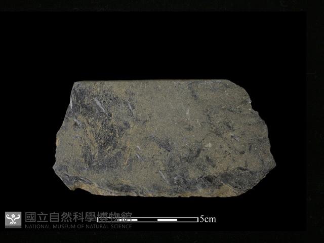 磨製有刃石器藏品圖，第1張