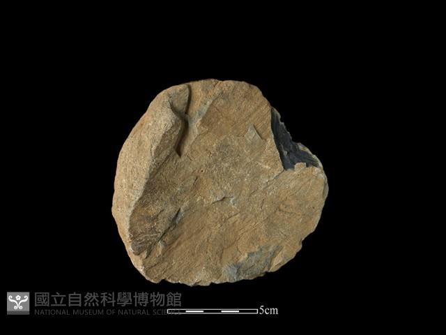 石片器藏品圖，第2張