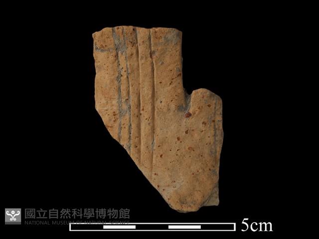 陶罐藏品圖，第1張