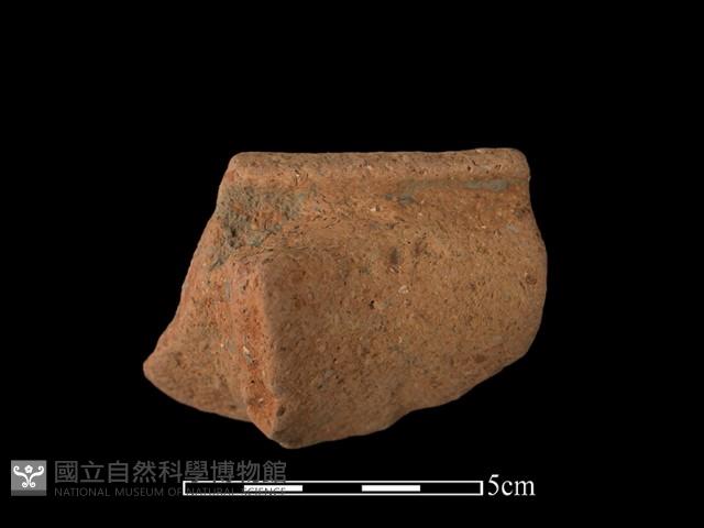 Accession Number:BY-2016-395 Collection Image, Figure 1, Total 3 Figures