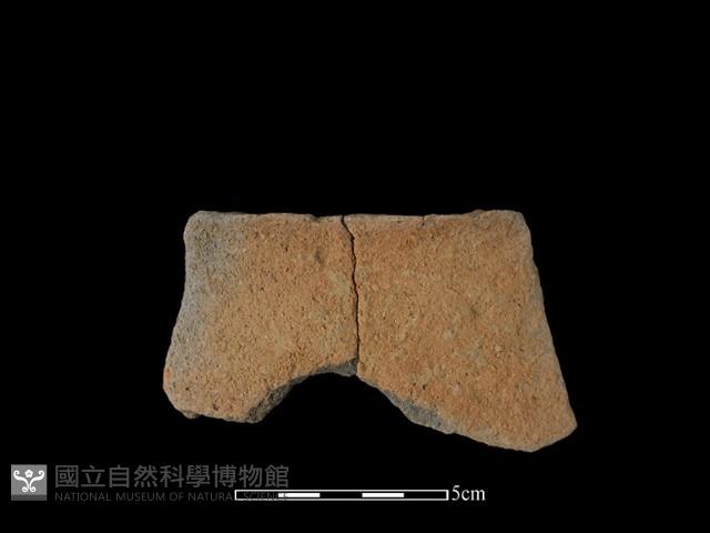 陶片藏品圖，第1張