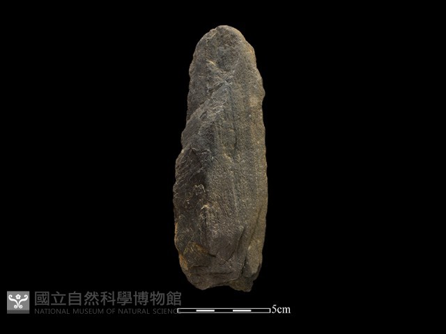 斧鋤形器藏品圖，第1張