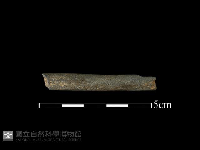 網墜藏品圖，第1張