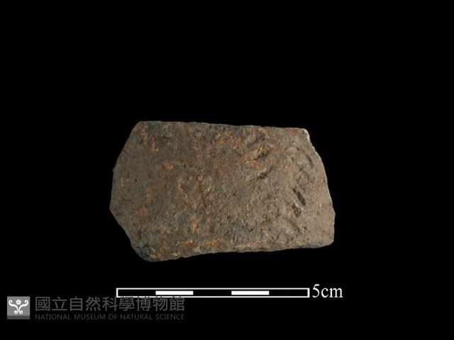 陶把藏品圖，第1張