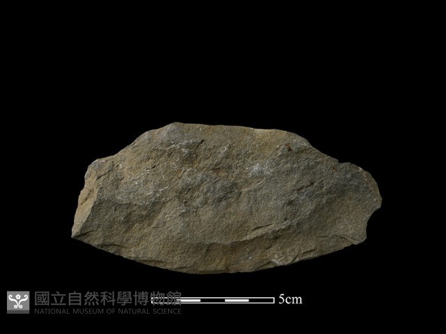石片器藏品圖，第2張