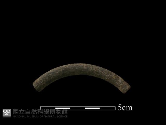 陶環藏品圖，第1張