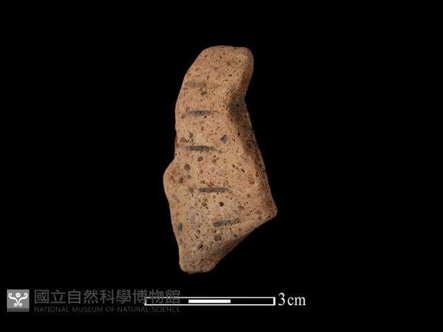 陶把藏品圖，第1張