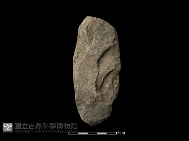 斧鋤形器藏品圖，第2張