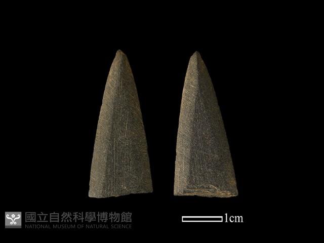 矛鏃形器藏品圖，第1張