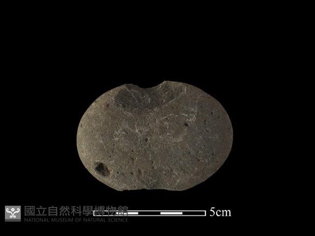 網墜藏品圖，第1張