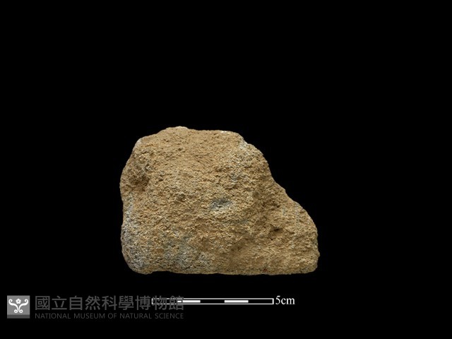 斧鋤形器藏品圖，第2張