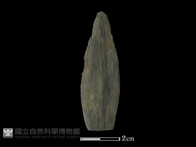 矛鏃形器藏品圖，第2張