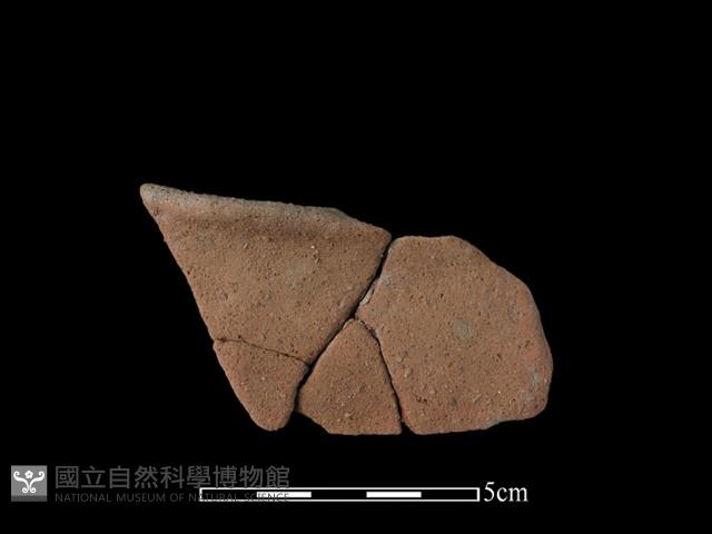 陶片藏品圖，第2張