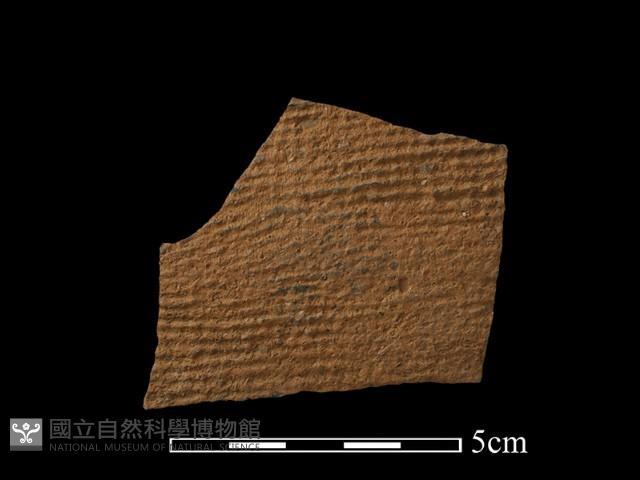 陶片藏品圖，第1張