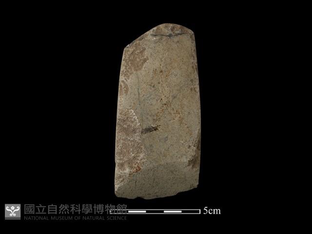 錛鑿形器藏品圖，第2張