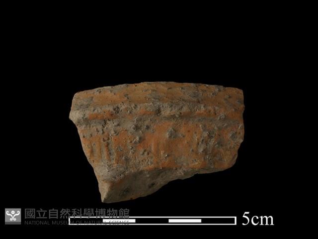 陶罐藏品圖，第2張