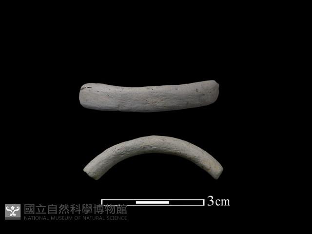 陶環藏品圖，第1張