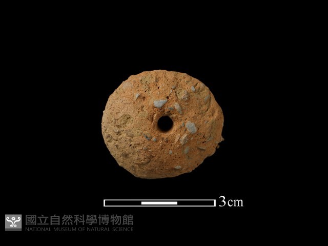 紡輪藏品圖，第2張