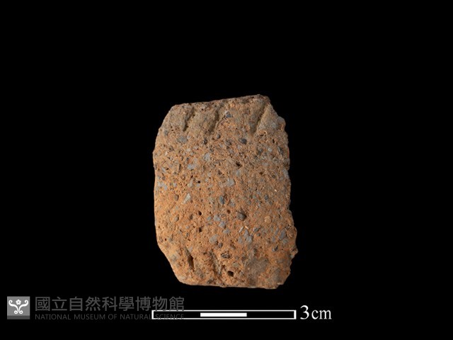陶把藏品圖，第1張