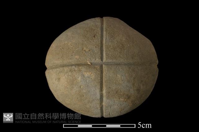 網墜藏品圖，第1張