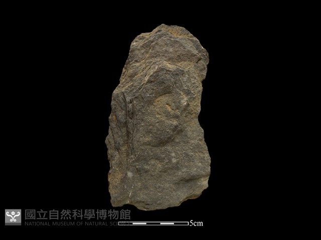 斧鋤形器藏品圖，第1張