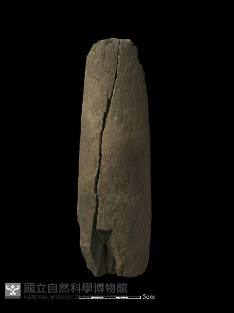 石杵藏品圖，第1張