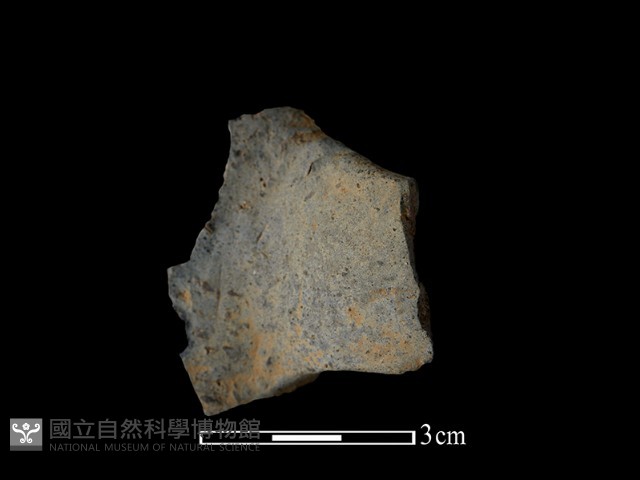陶把藏品圖，第1張