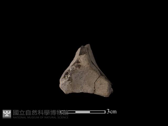 連杯形器藏品圖，第1張