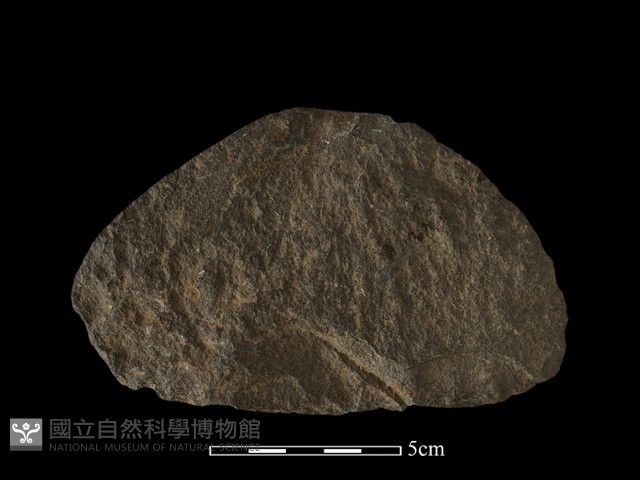 石片器藏品圖，第2張