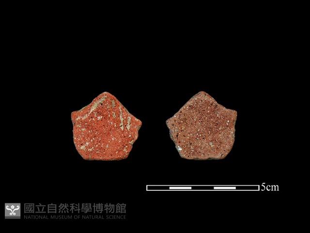 陶片藏品圖，第1張