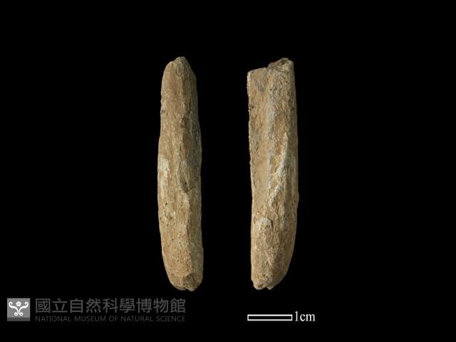 間接打擊棒藏品圖，第1張