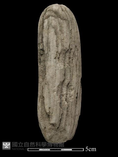 石鎚藏品圖，第2張