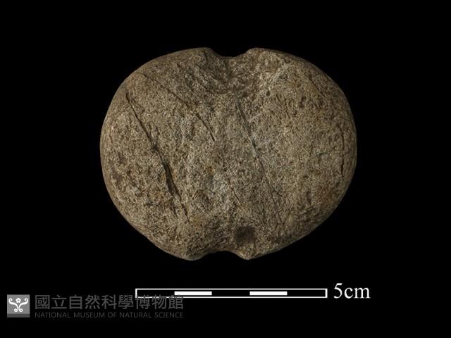 網墜藏品圖，第1張