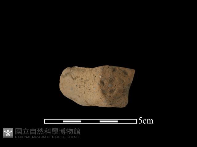 陶把藏品圖，第1張