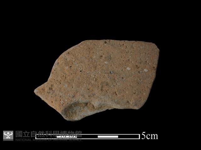 陶罐藏品圖，第2張